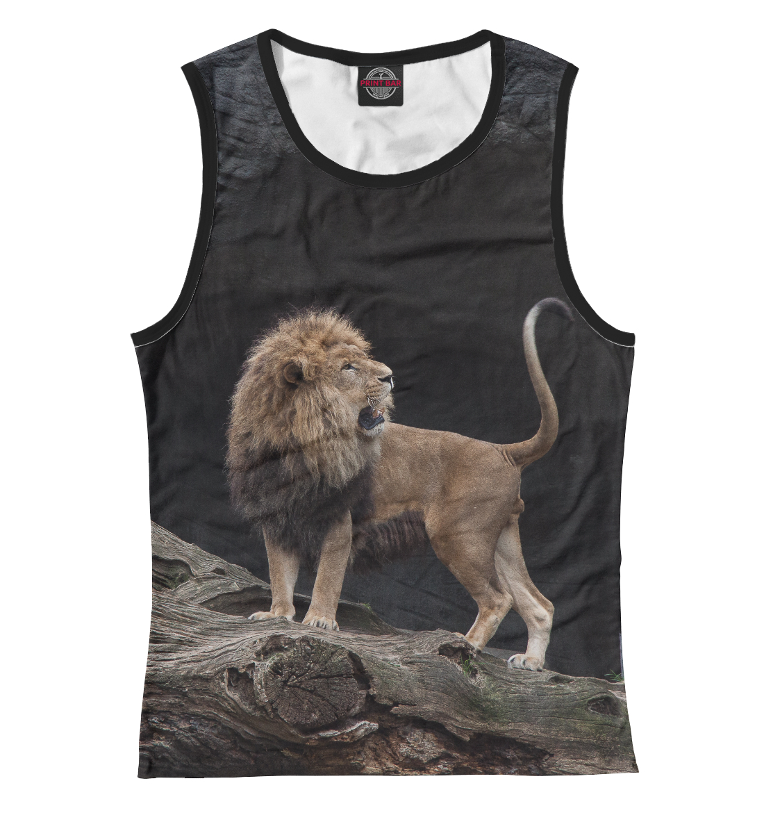 

Lion