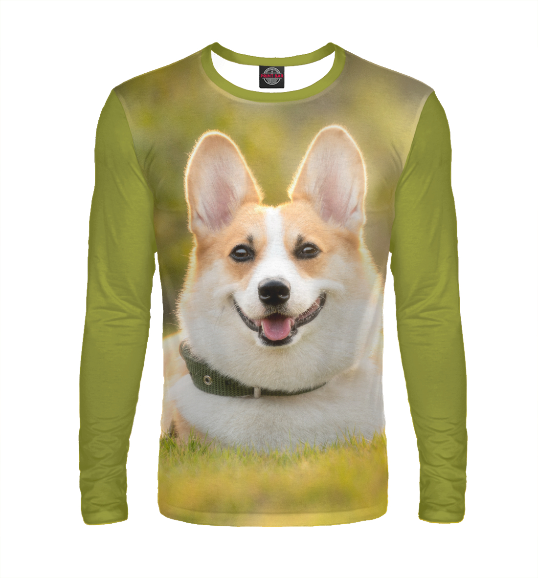 

Корги