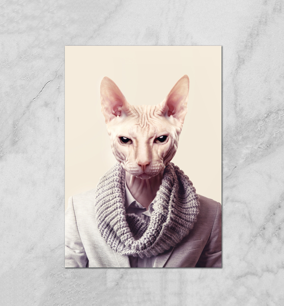 

Кот в костюмчике