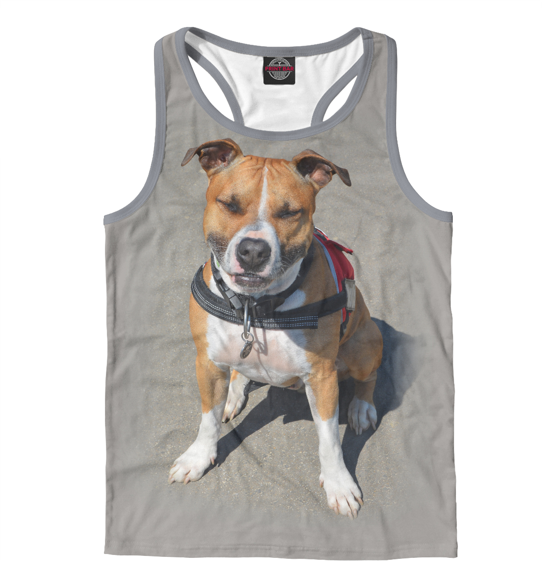 

Стаффордшир