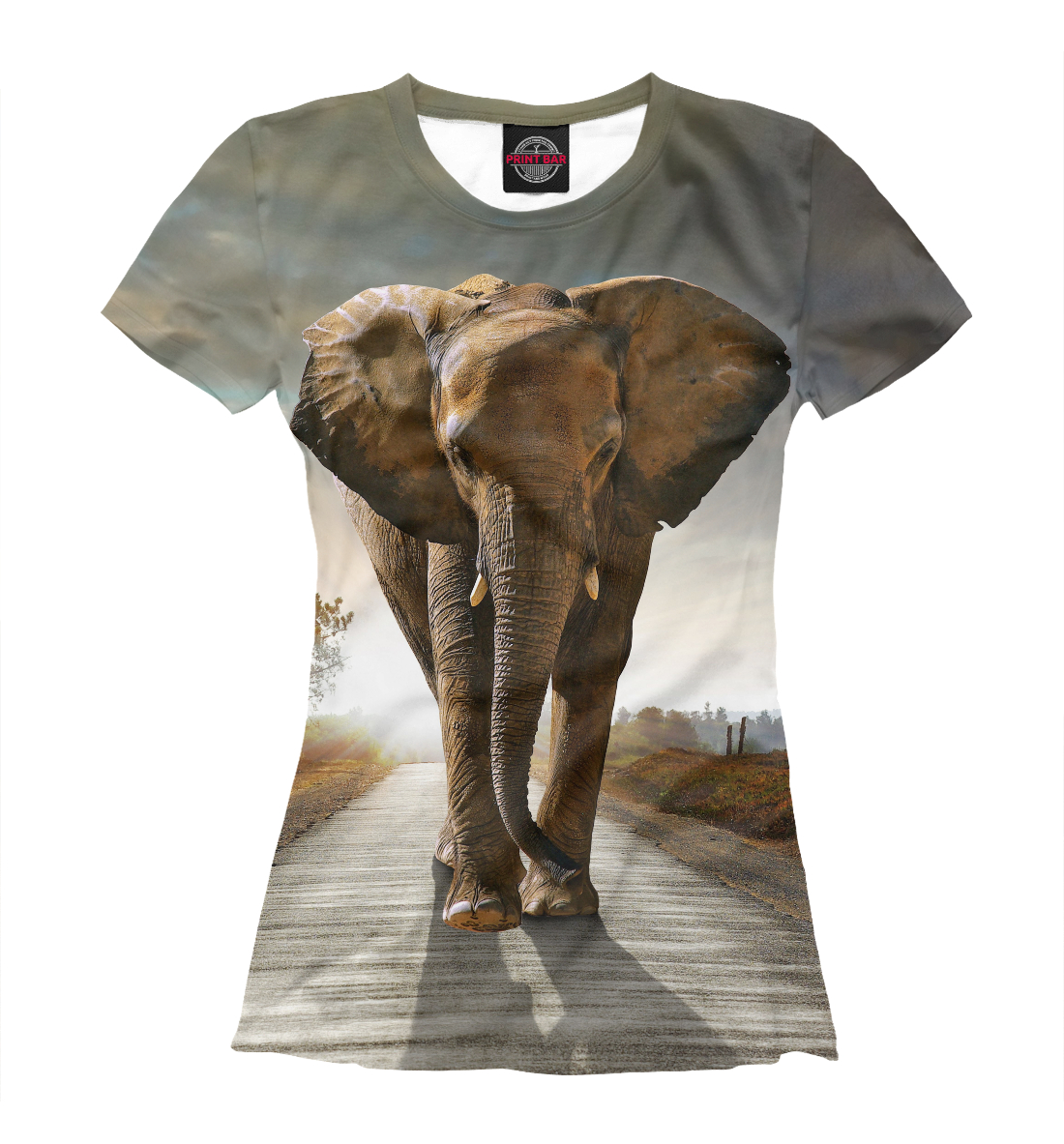 

Слон на дороге