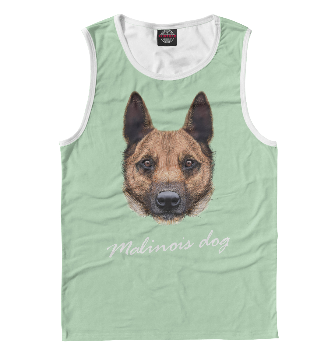 

Malinois dog
