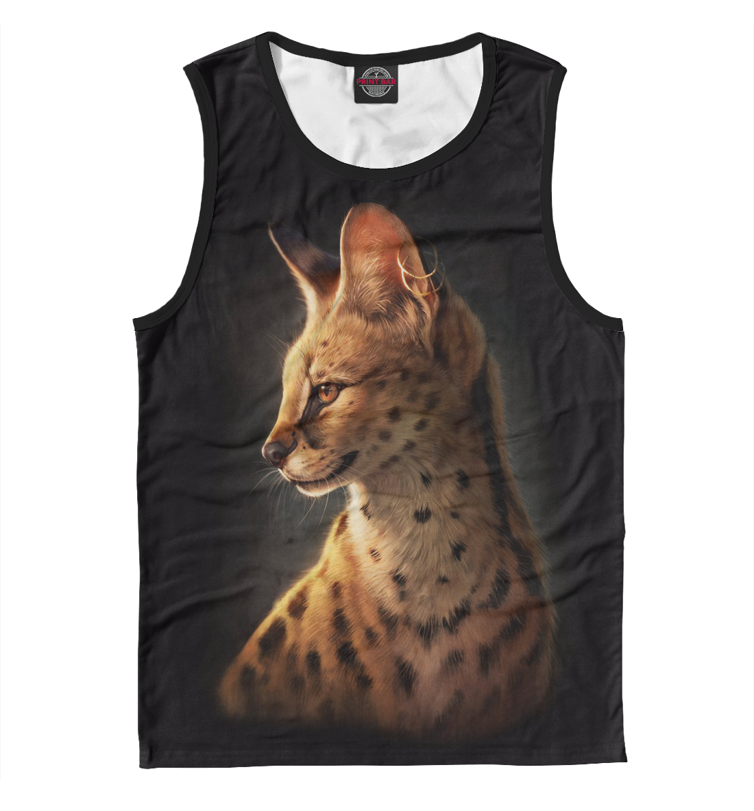 

Дикий кот