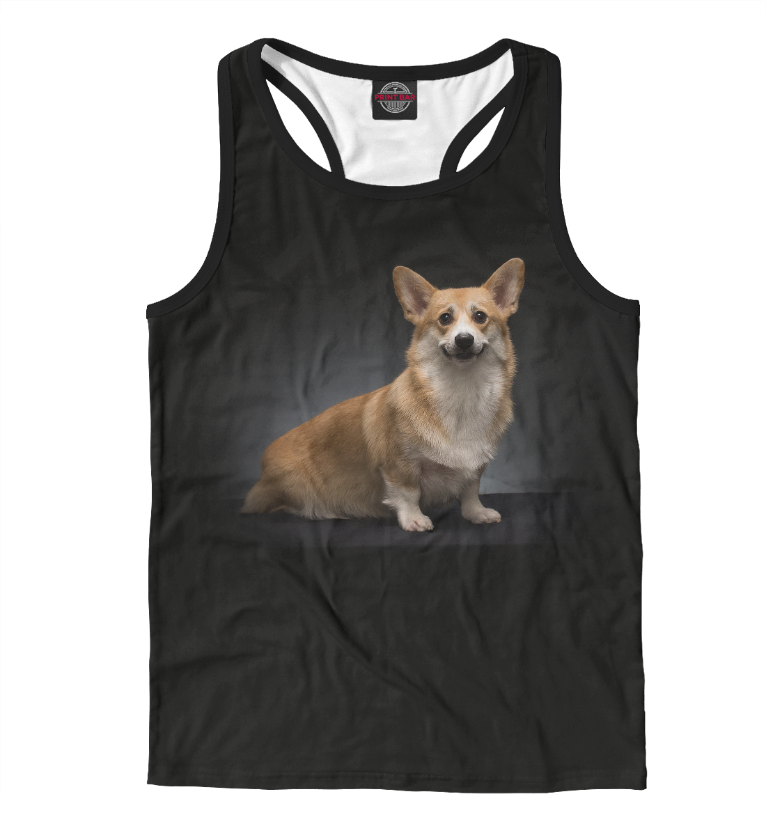 

Corgi dog