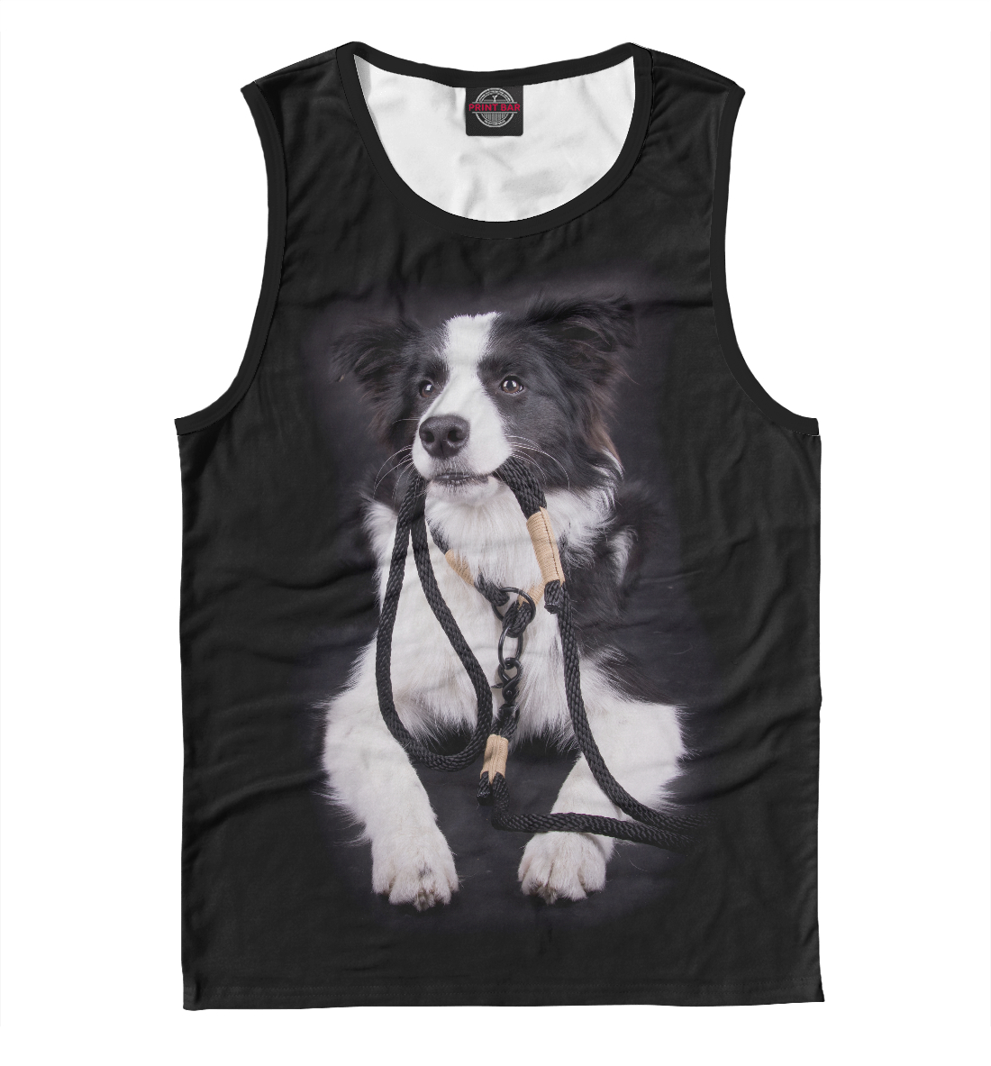 

Бордер - колли