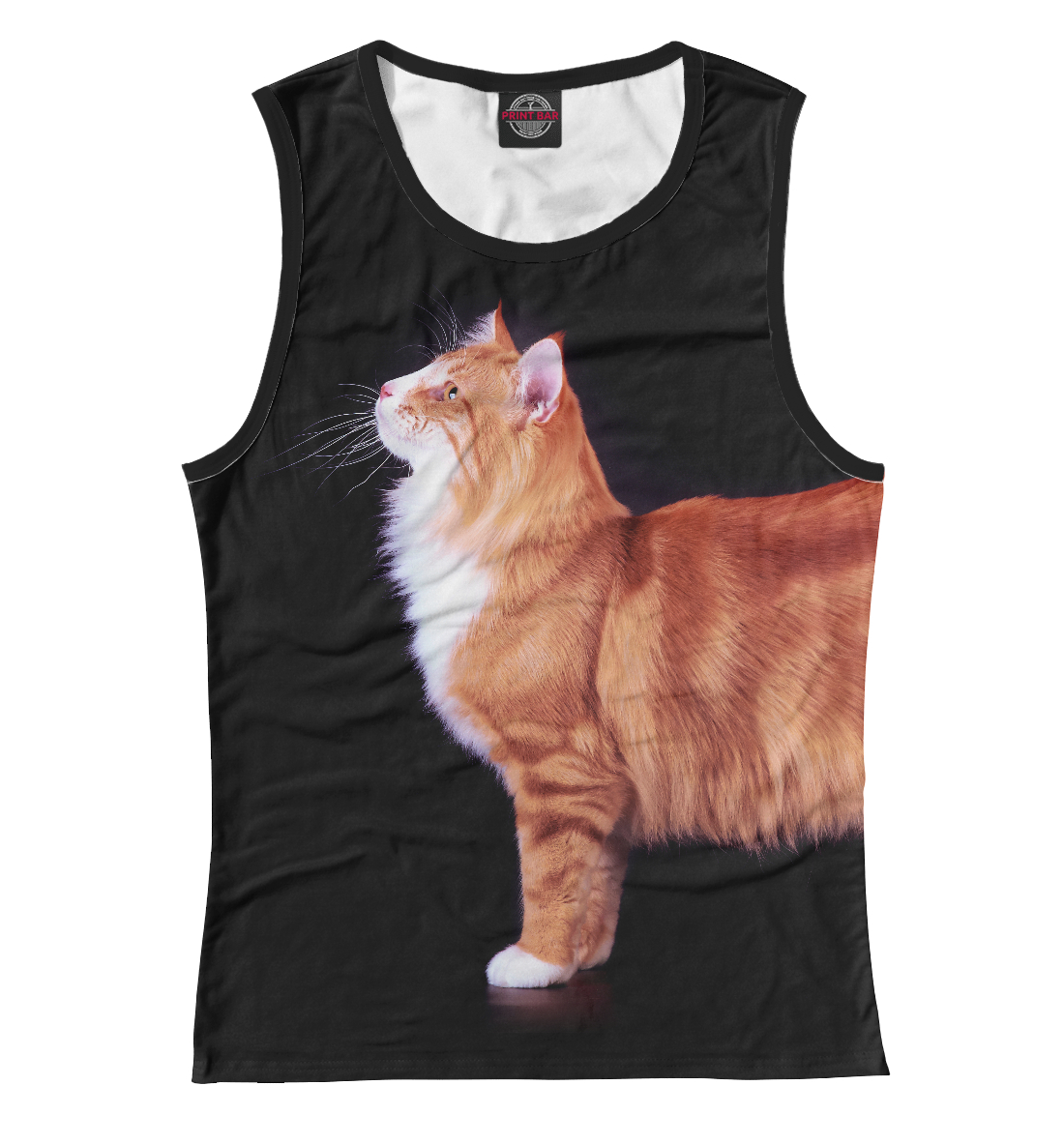 

Кот подмышкой