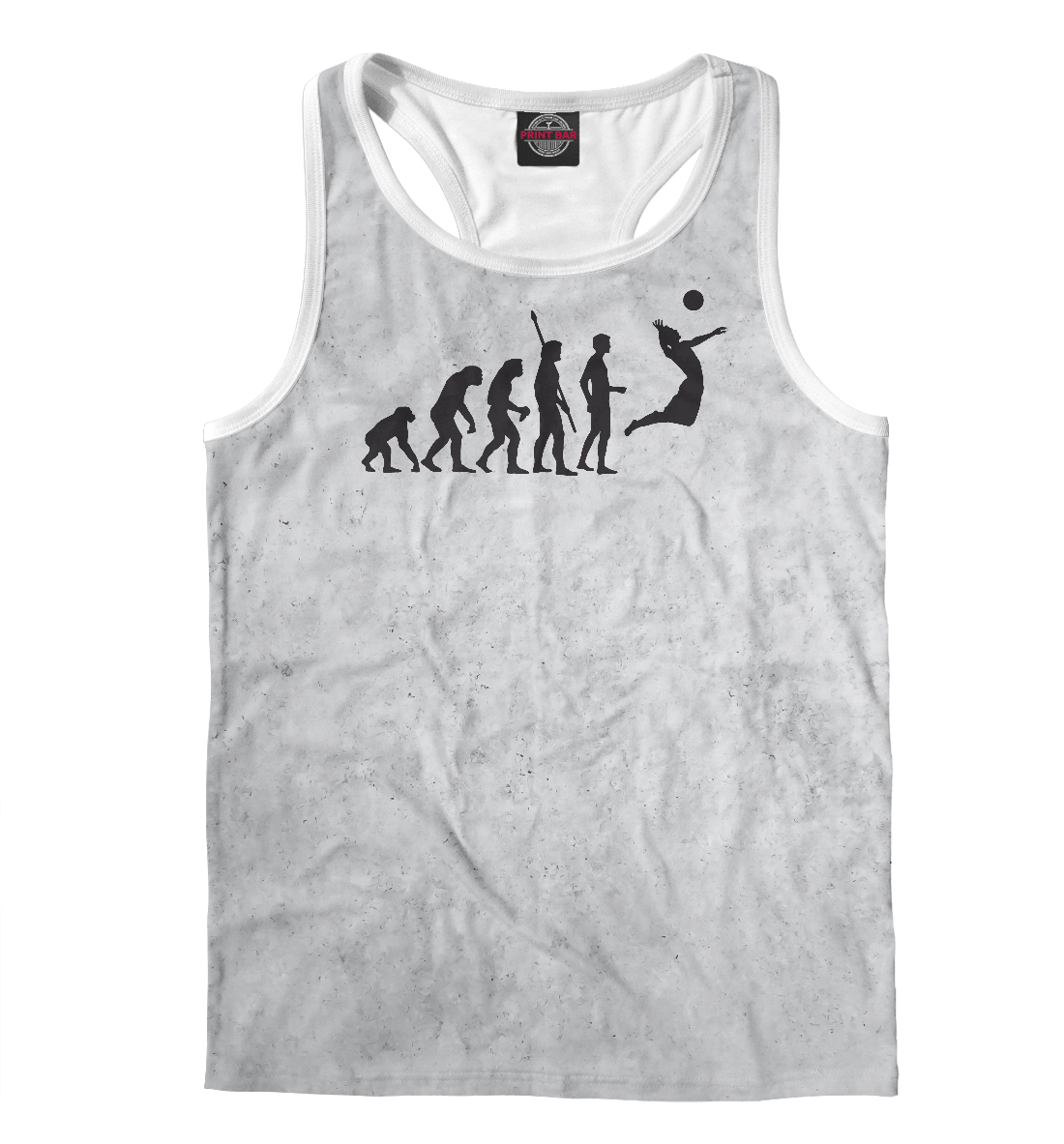 

Evolution volleyball