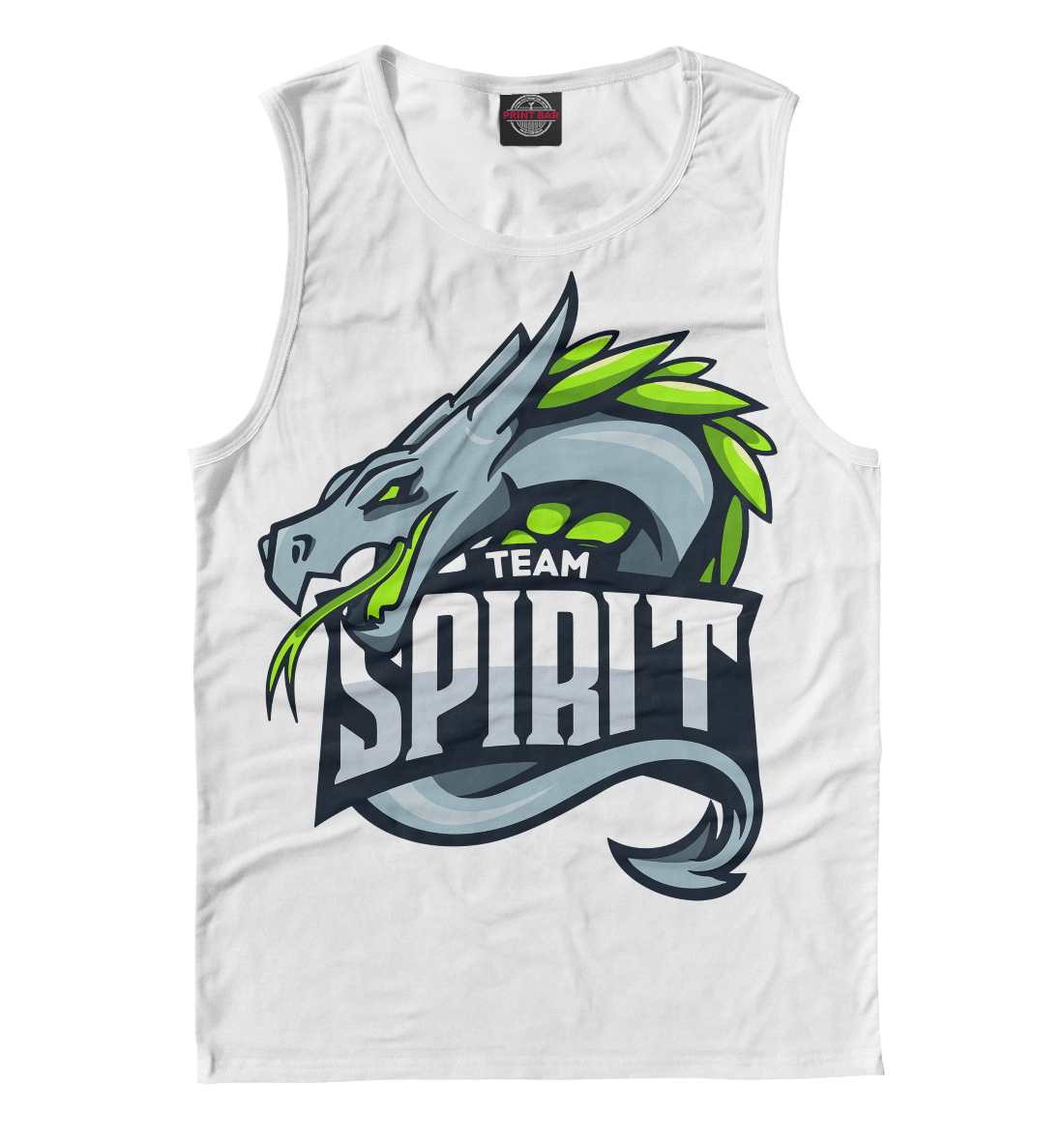 

Spirit / CS:GO Team