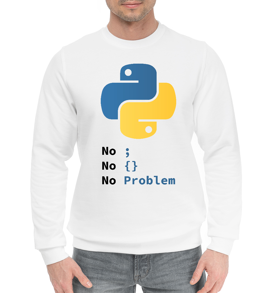 

Python No Problem