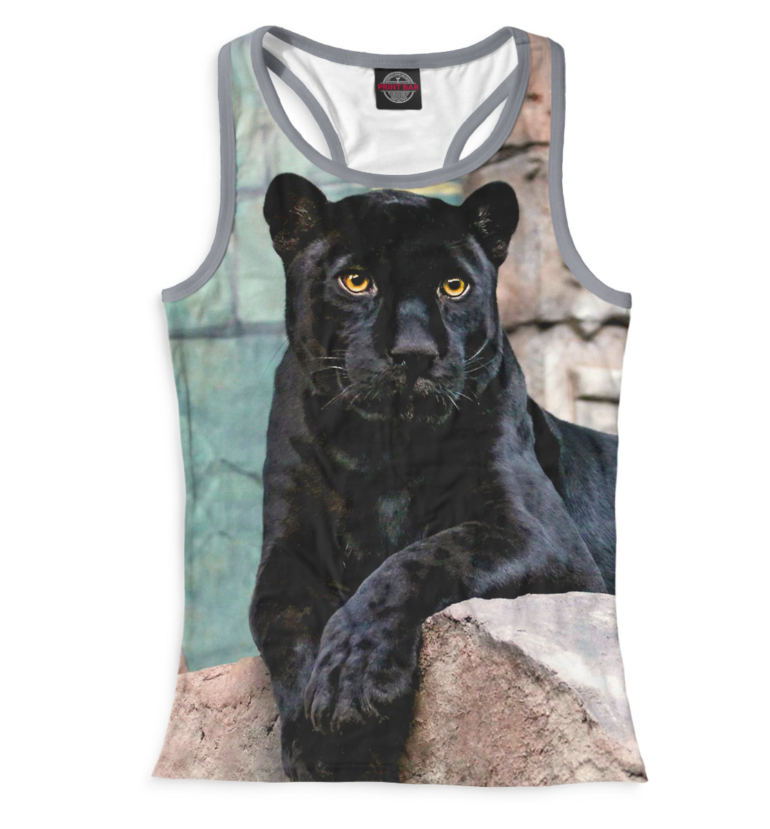 

Пантера на скалах