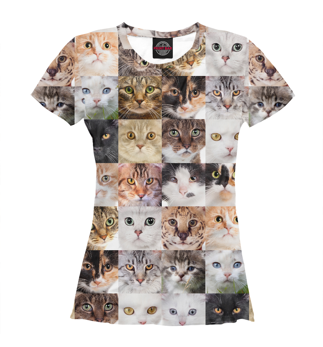 

Кошачий коллаж