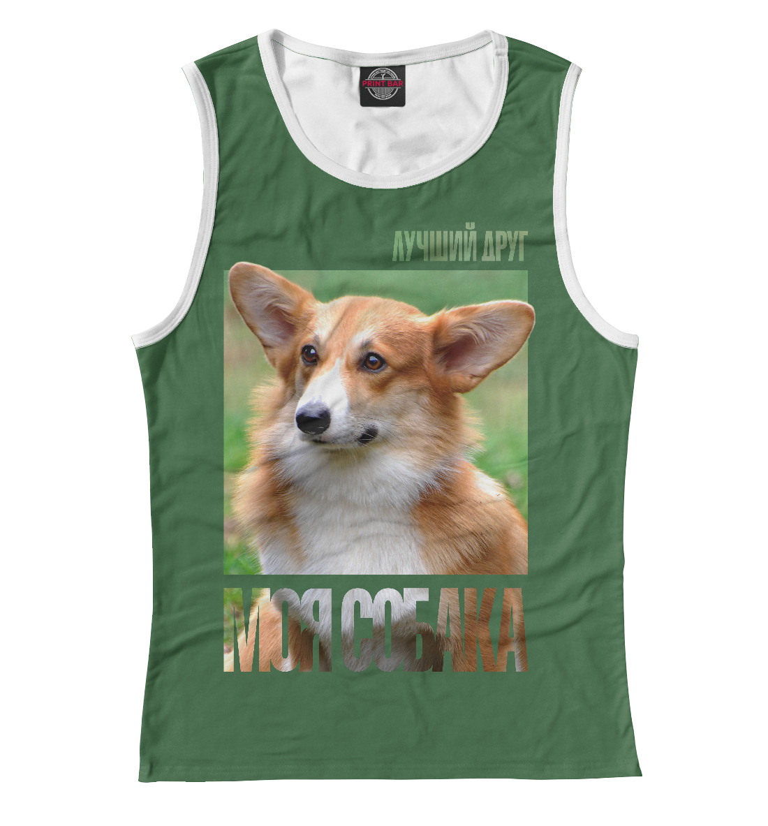 

Пемброк-вельш-корги