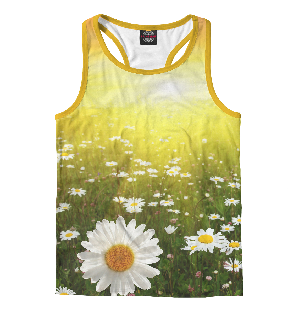 

Ромашковое поле