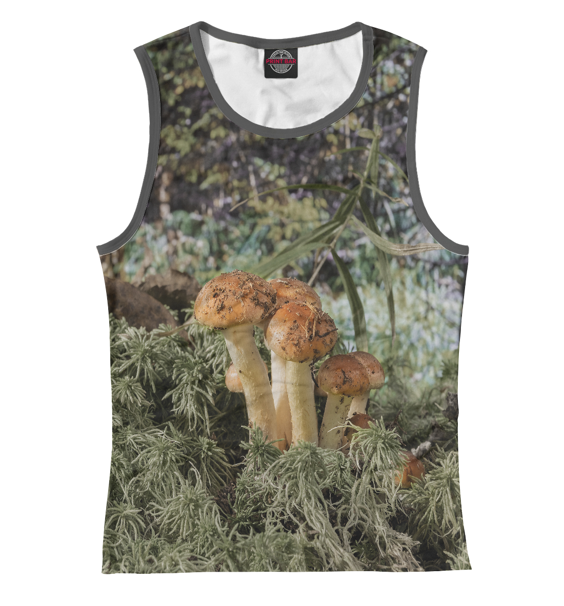 

Семейка опят на опушке леса