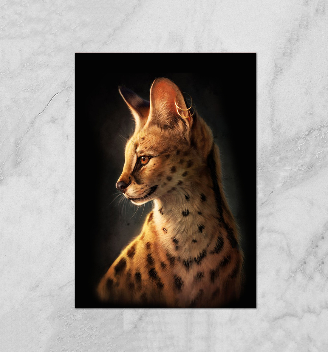 

Дикий кот