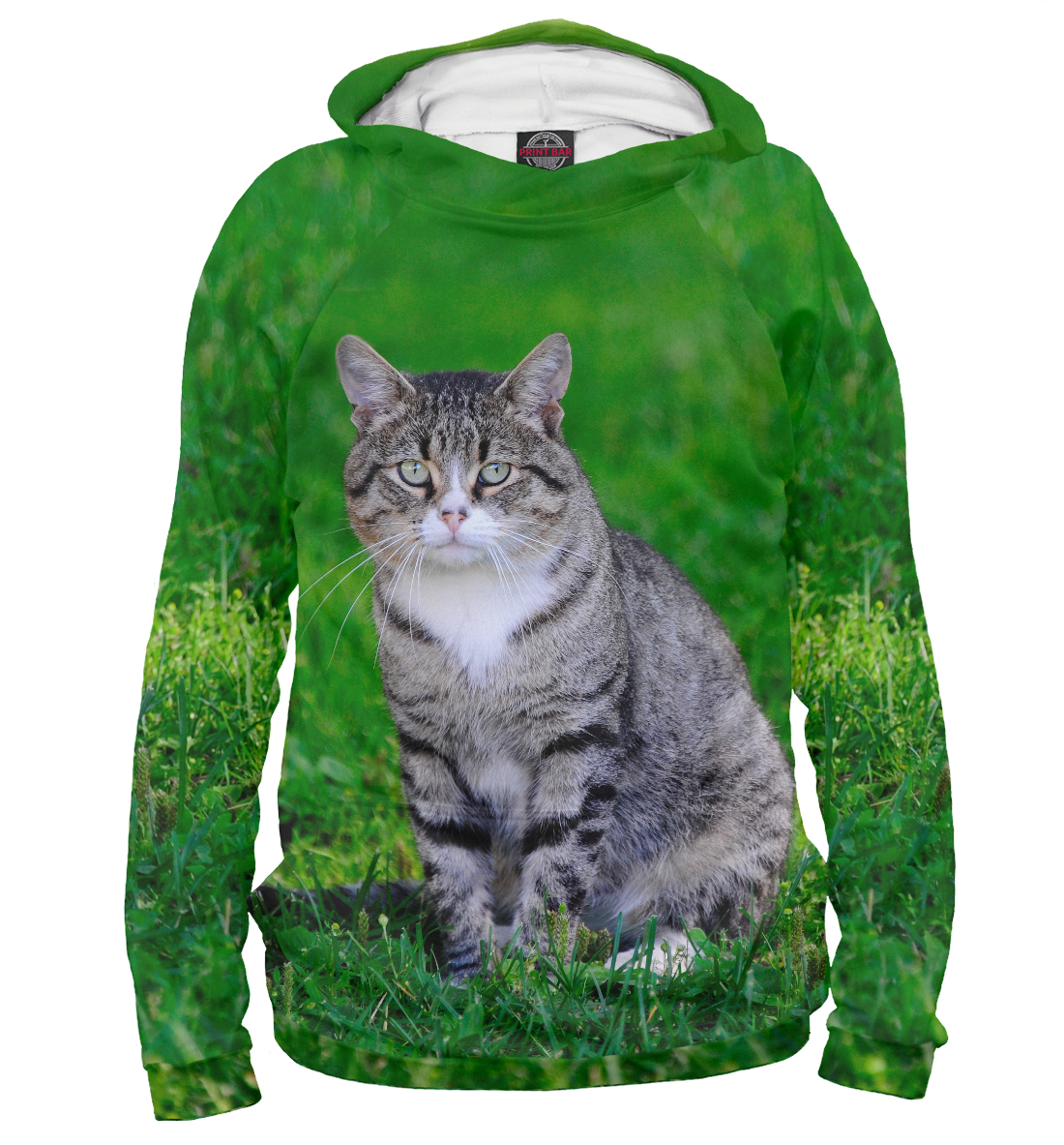 

Его Котейшество