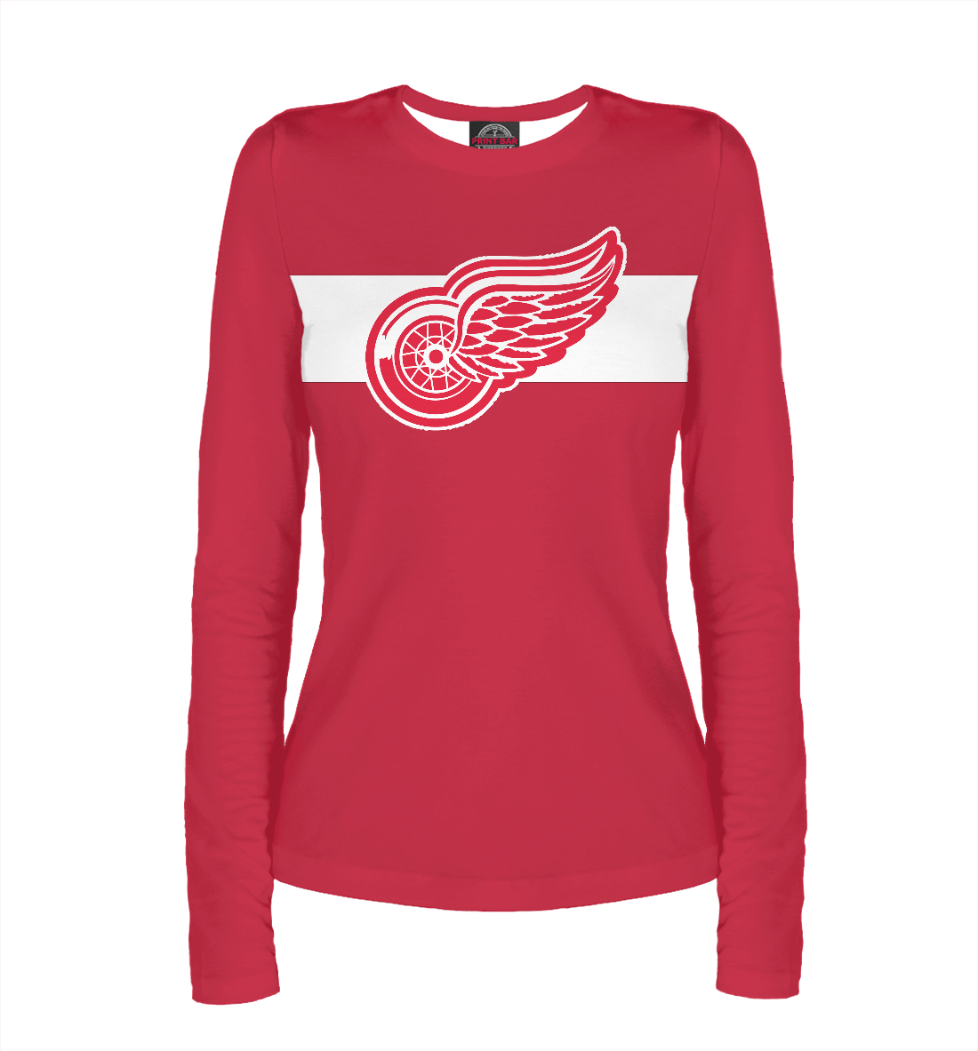 

Detroit Red Wings