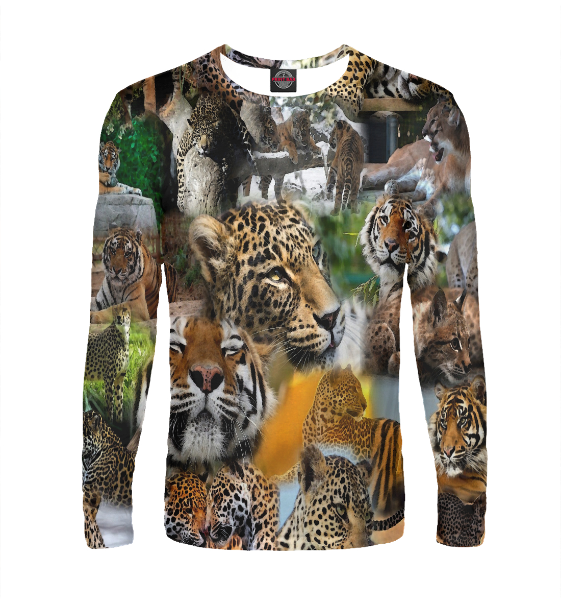 

Дикие Кошки | Тигры