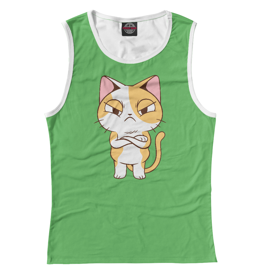 

Сердитый котёнок