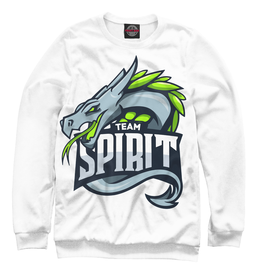 

Spirit / CS:GO Team