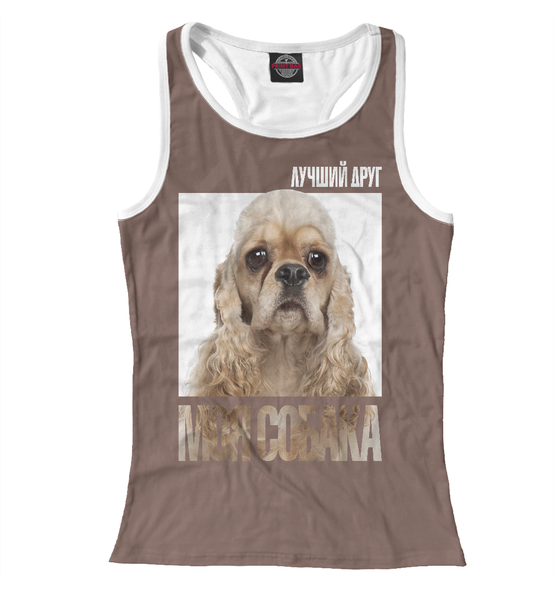 

Американский кокер-спаниель