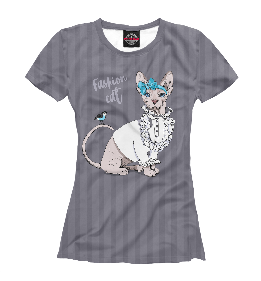 

Fashion cat