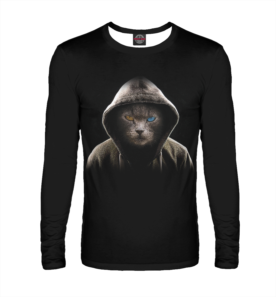 

Кот в капюшоне