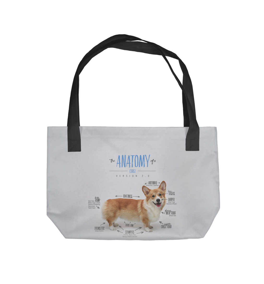 

Welsh Corgi