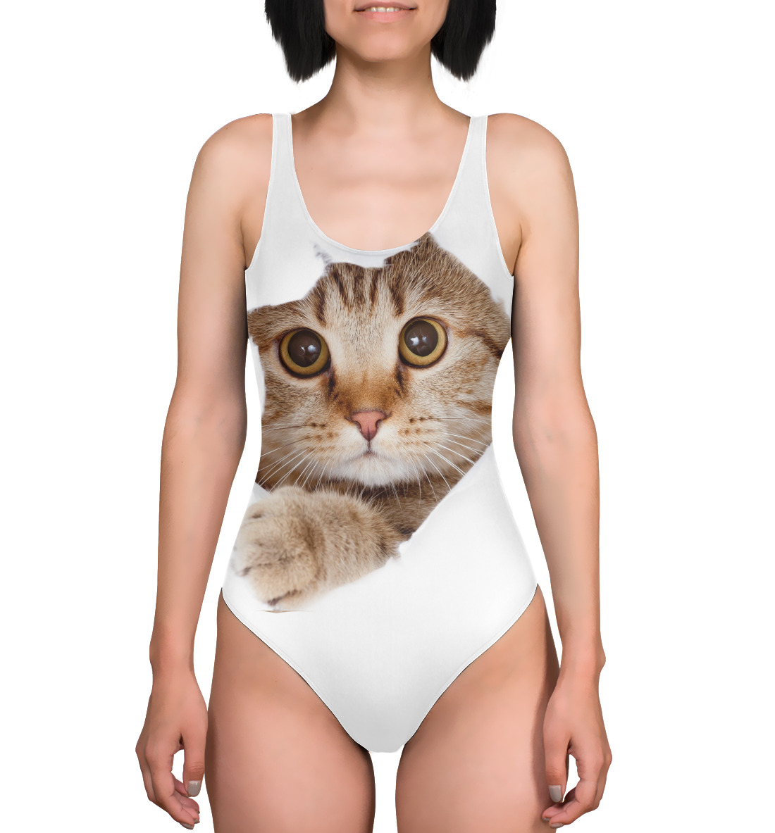 

Кот
