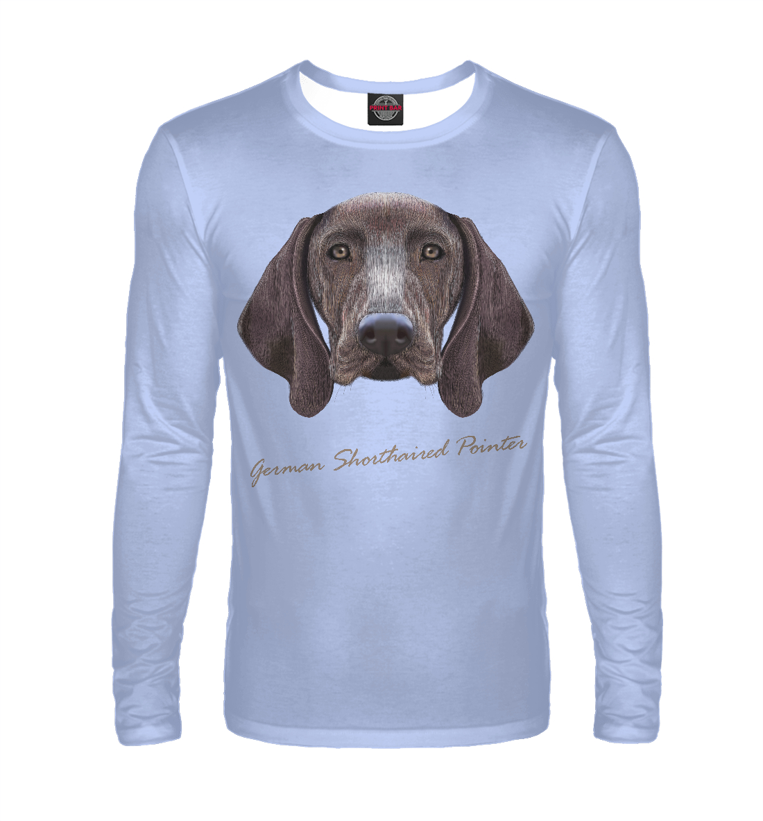 

German shorthaired pointer