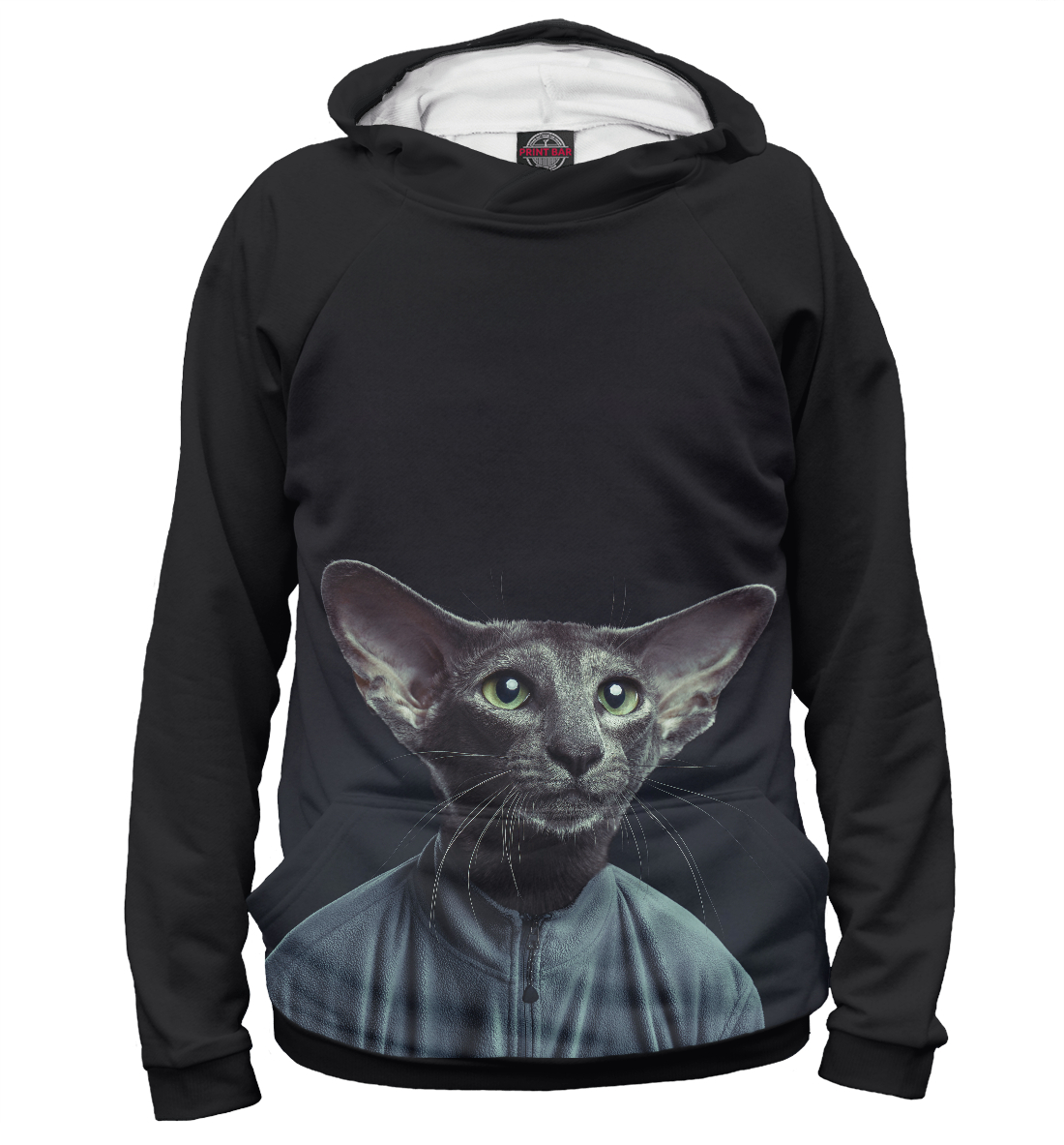 

Кот в спортивках