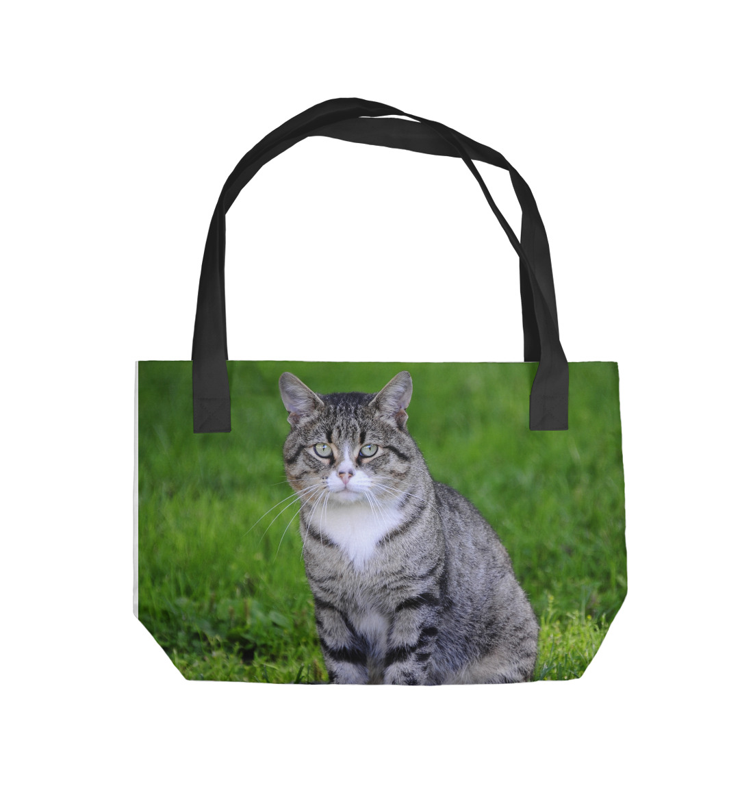 

Его Котейшество