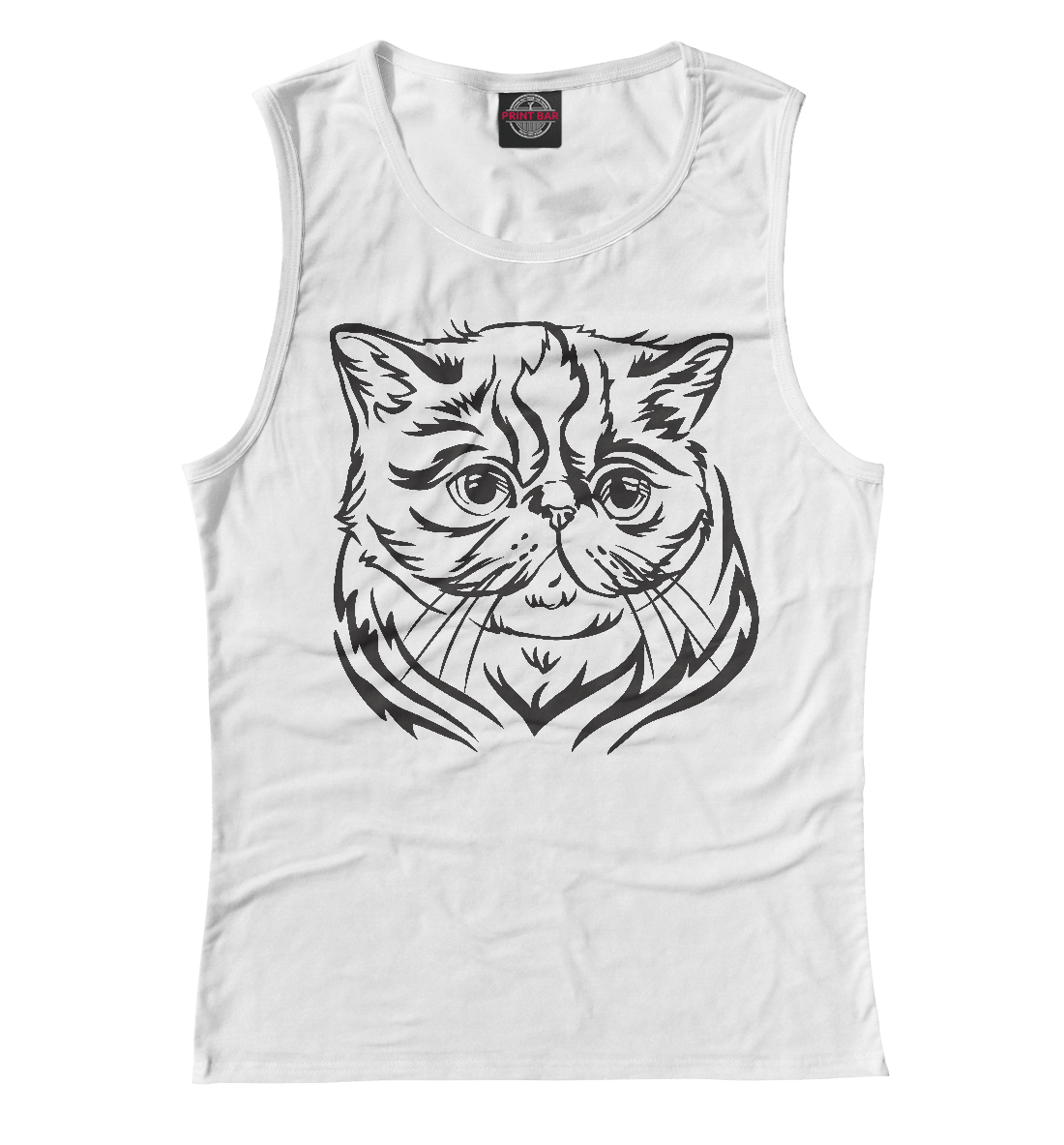 

Экзотическая кошка