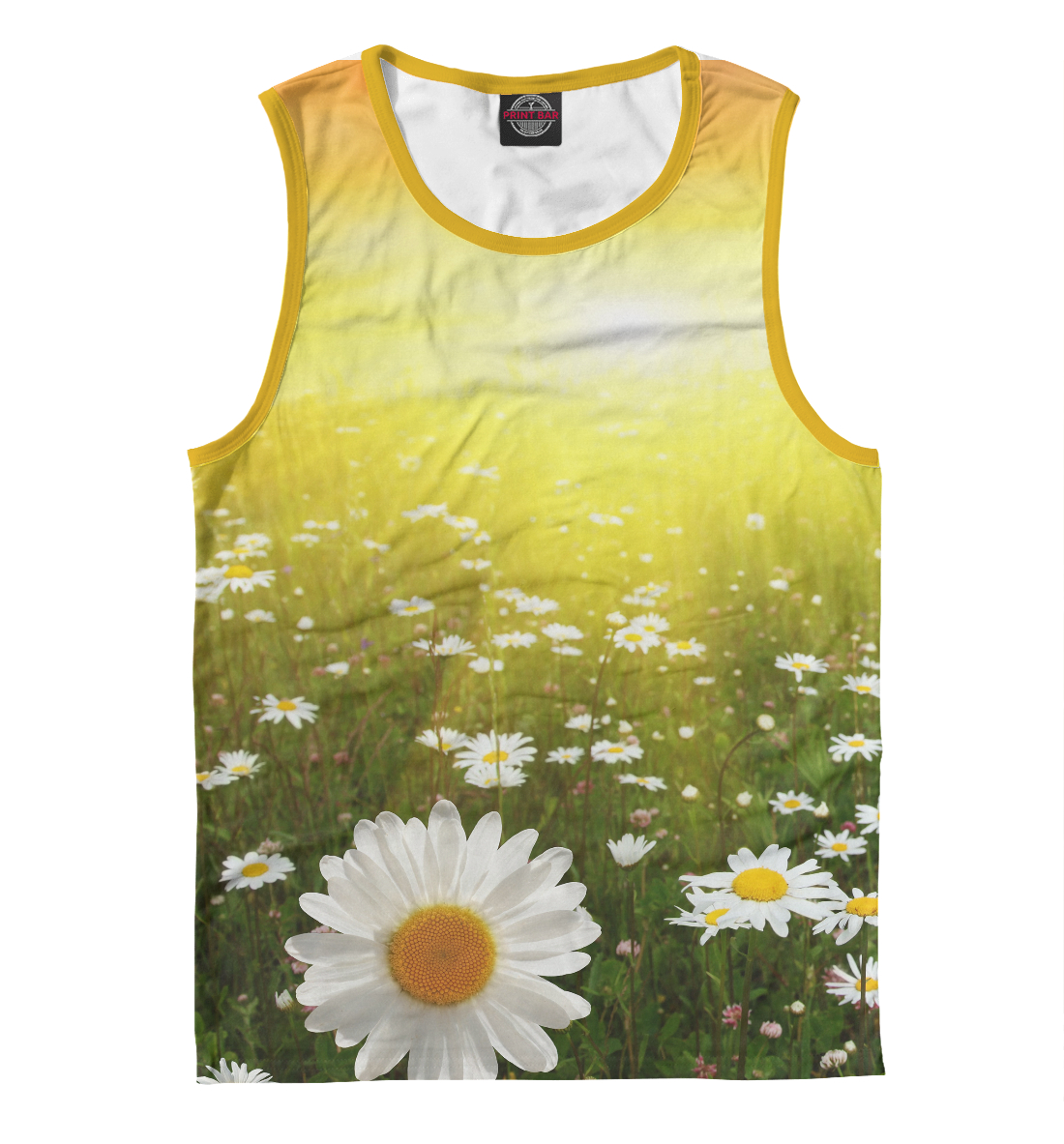 

Ромашковое поле