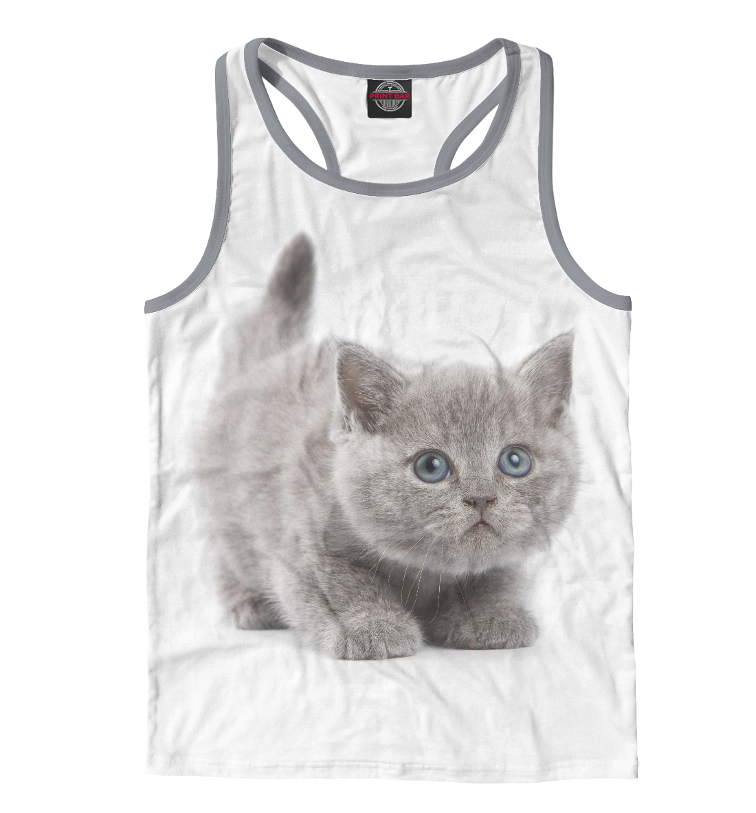 

Котик