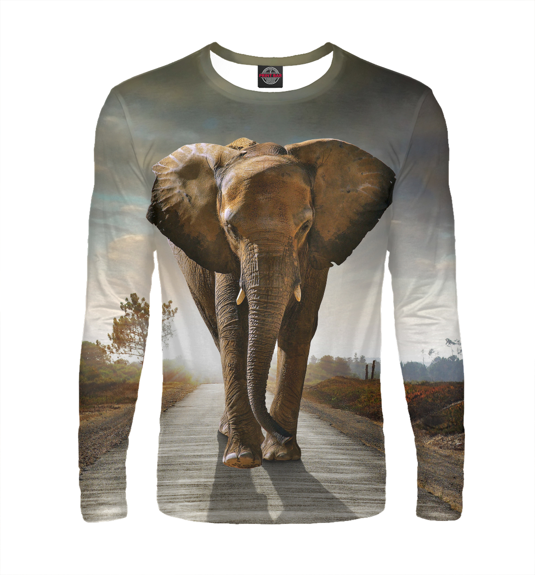 

Слон на дороге