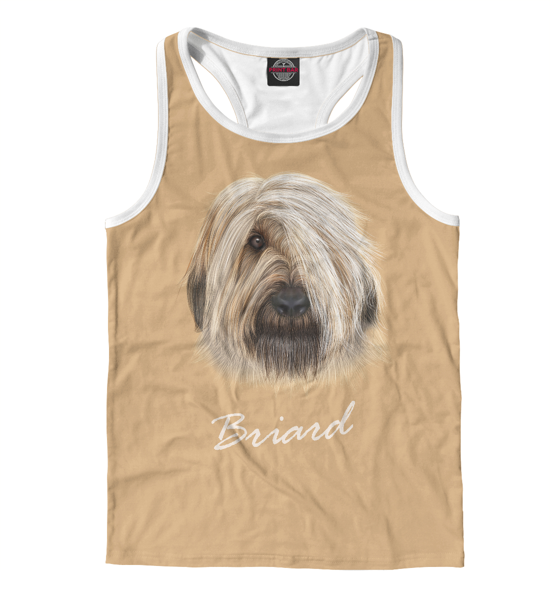 

Briard