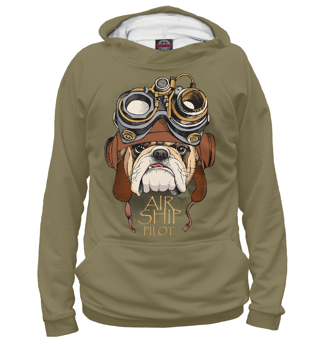 

Air ship pilot