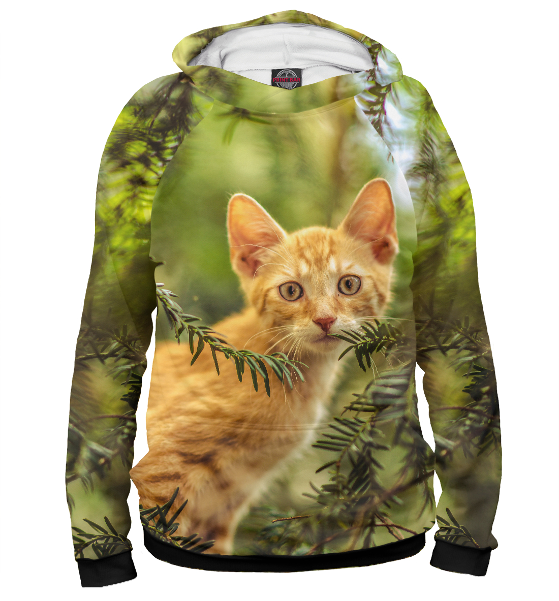 

Red cat