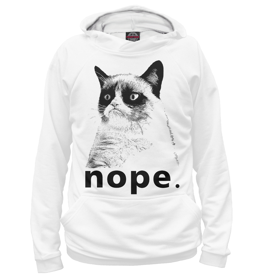 

Angry cat