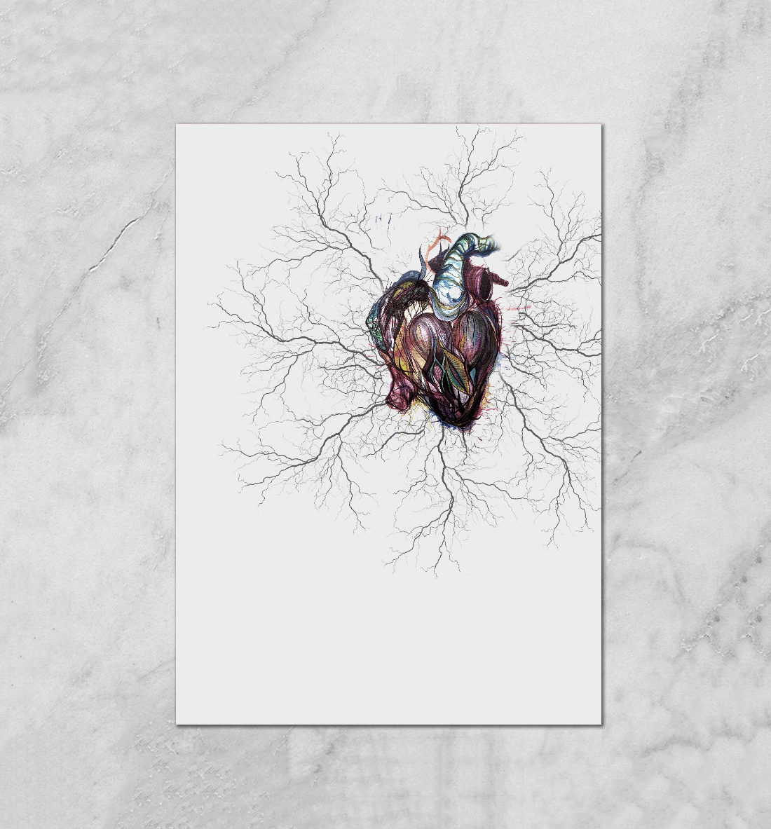 

The Heart