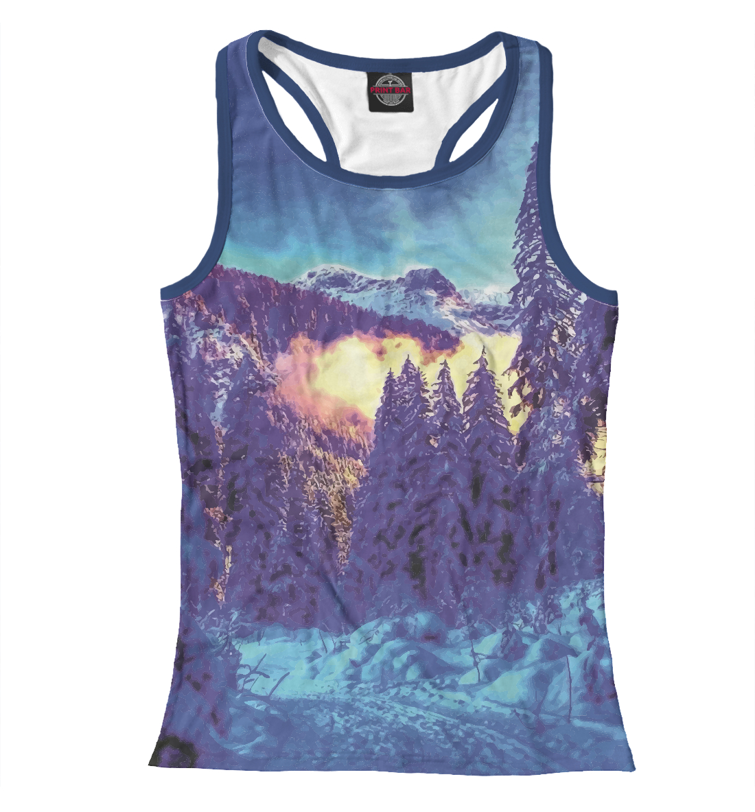 

Зимняя ночь