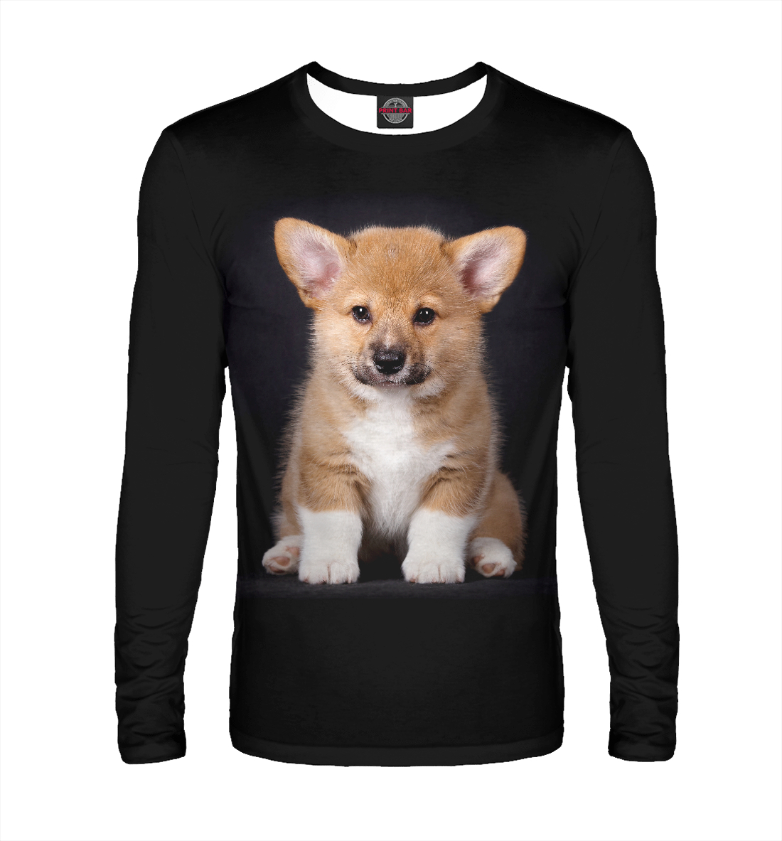 

Щенок вельш корги пемброк