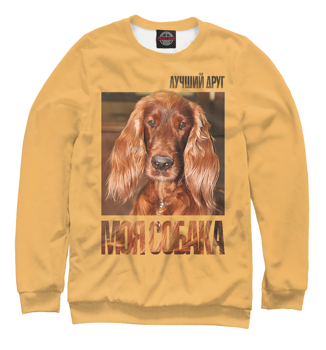 

Ирландский сеттер
