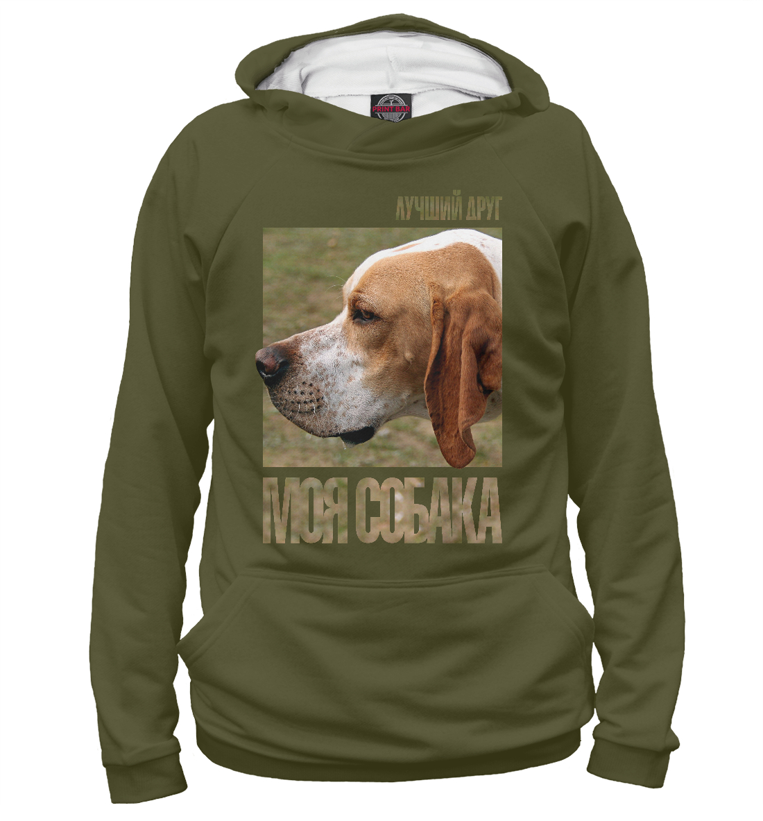 

Английский пойнтер