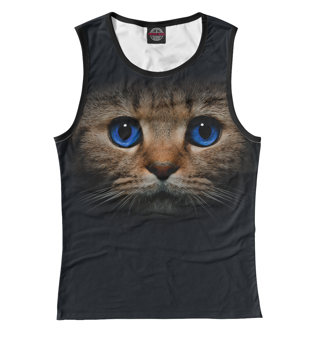 

Кот с синими глазами