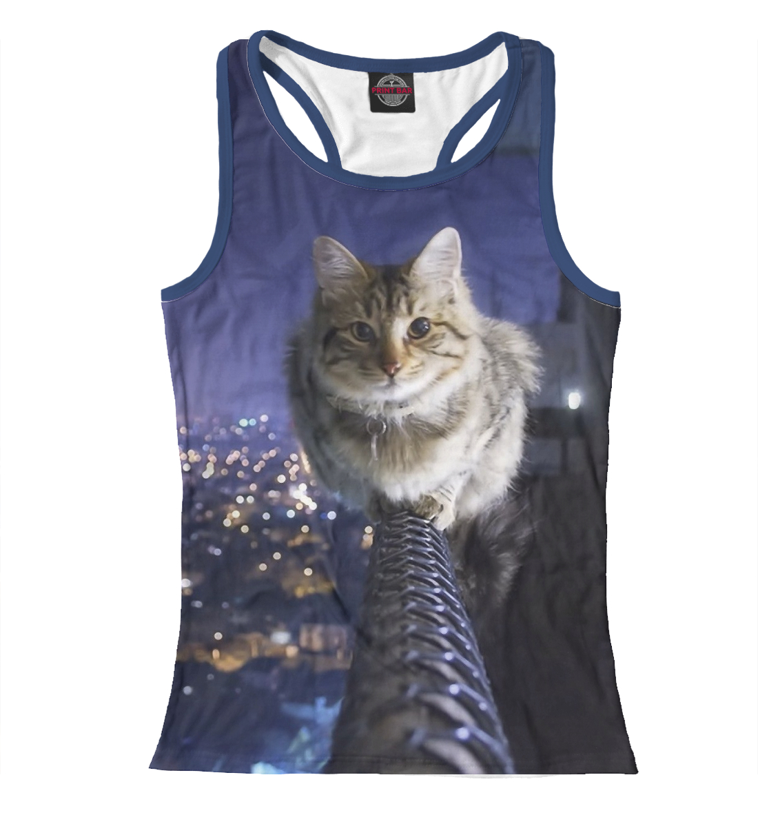 

котик