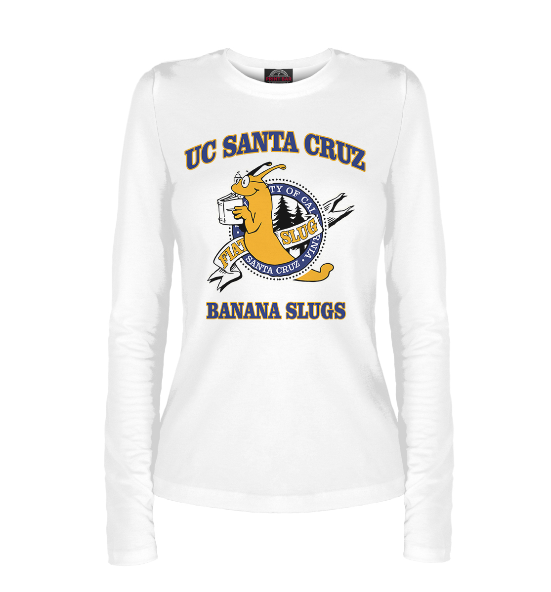 

UC Santa Cruz Banana Slugs