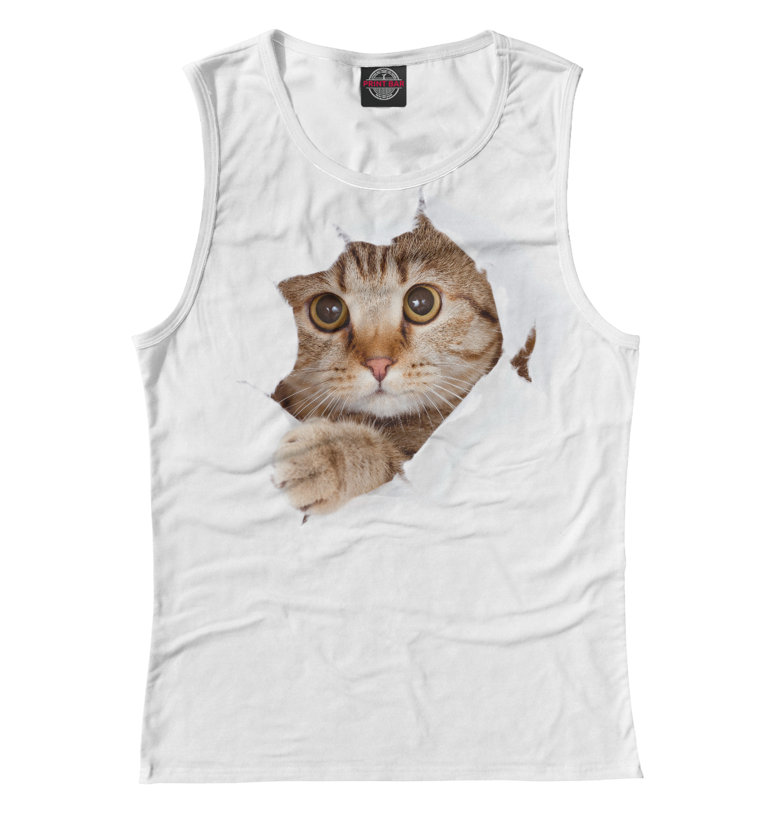 

Котик Мяу