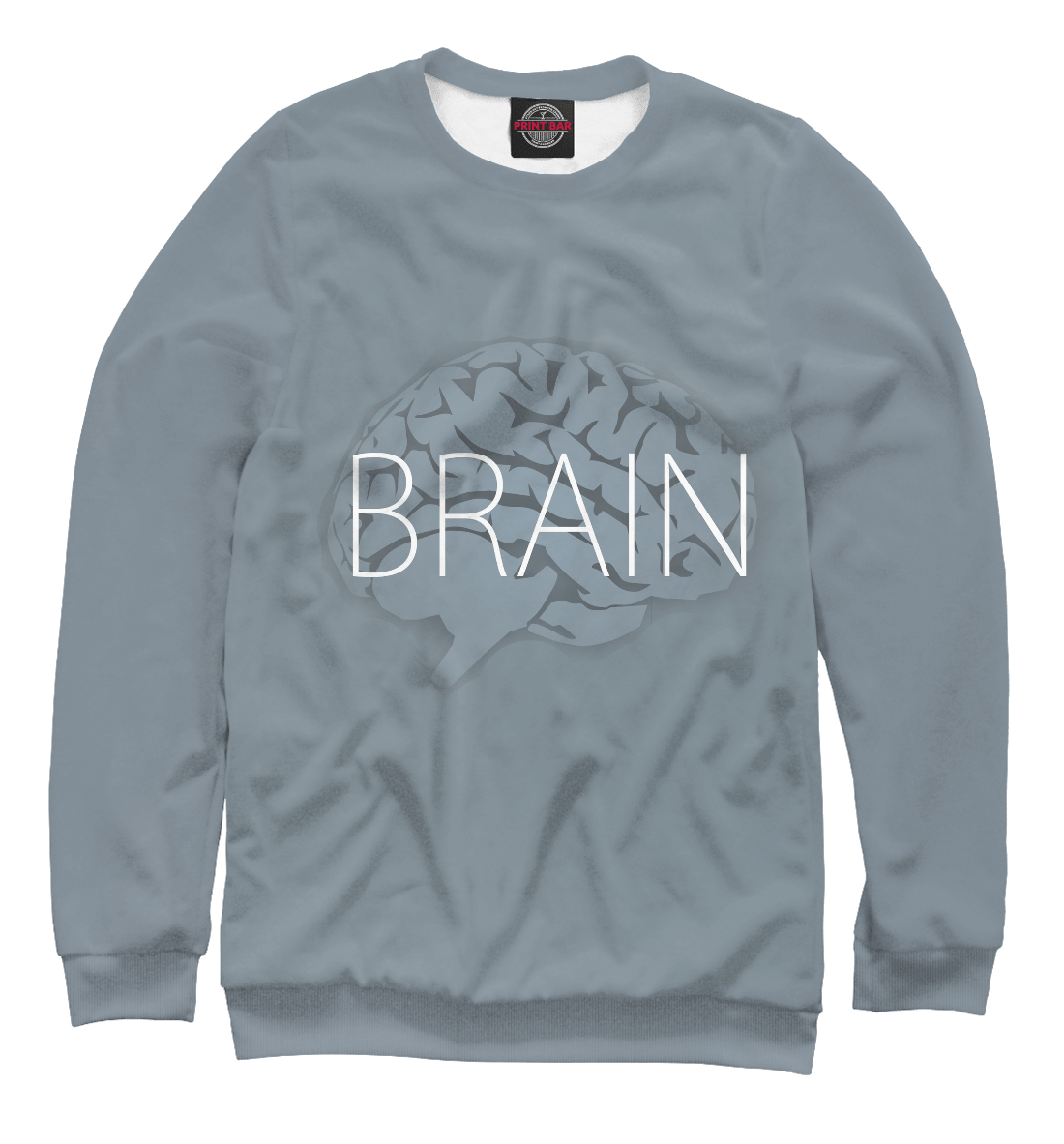 

Brain
